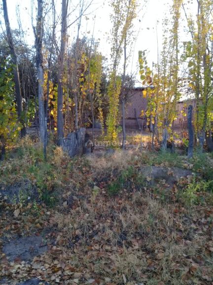 Finca en Venta en Lavalle, Mendoza