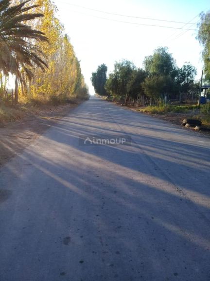 Finca en Venta en Lavalle, Mendoza