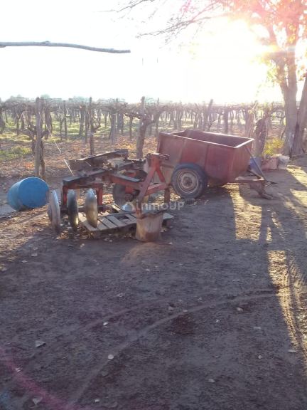 Finca en Venta en Lavalle, Mendoza