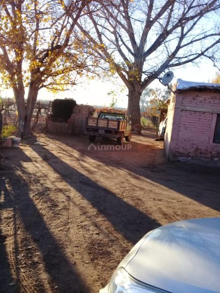 Finca en Venta en Lavalle, Mendoza