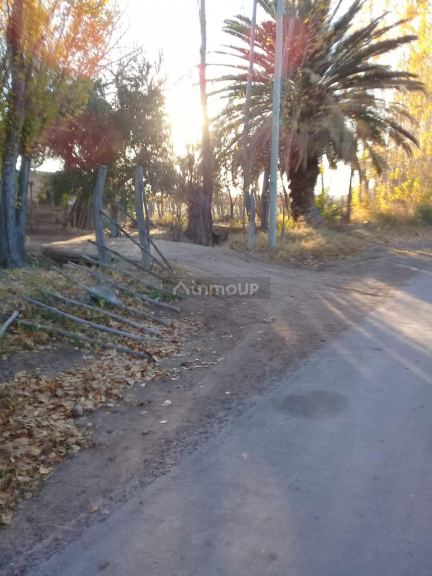 Finca en Venta en Lavalle, Mendoza