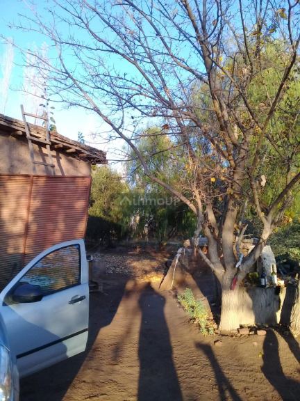 Finca en Venta en Lavalle, Mendoza