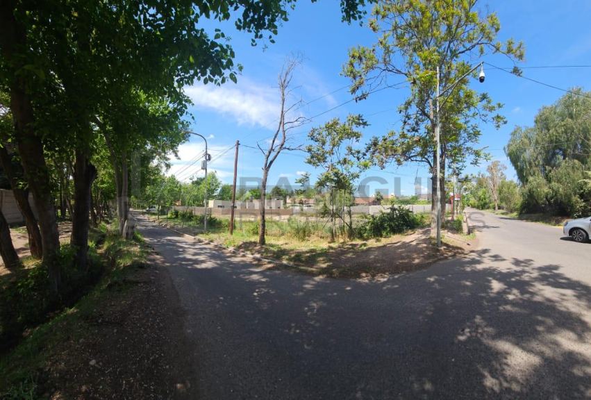 Terreno en Venta en Lujan de Cuyo, Mendoza