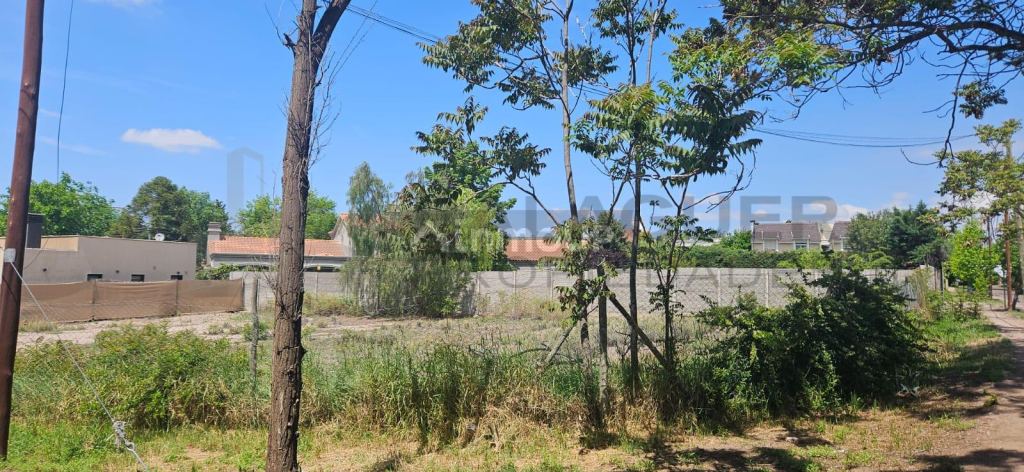 Terreno en Venta en Lujan de Cuyo, Mendoza