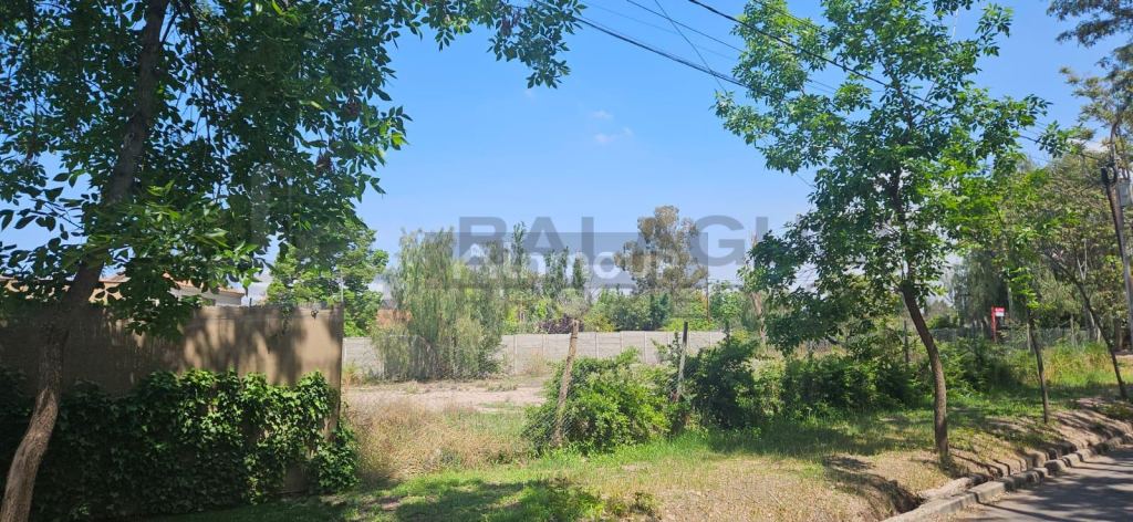 Terreno en Venta en Lujan de Cuyo, Mendoza