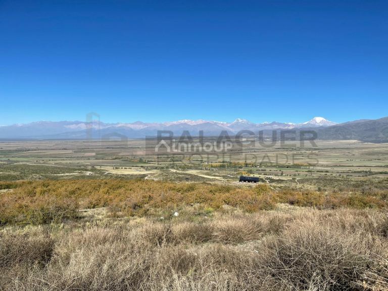 Terreno en Venta en Tupungato, Mendoza
