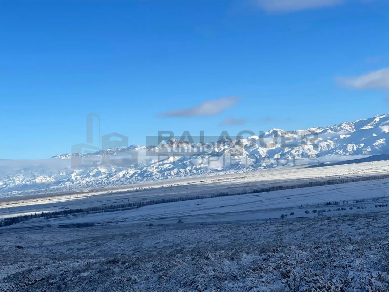 Terreno en Venta en Tupungato, Mendoza