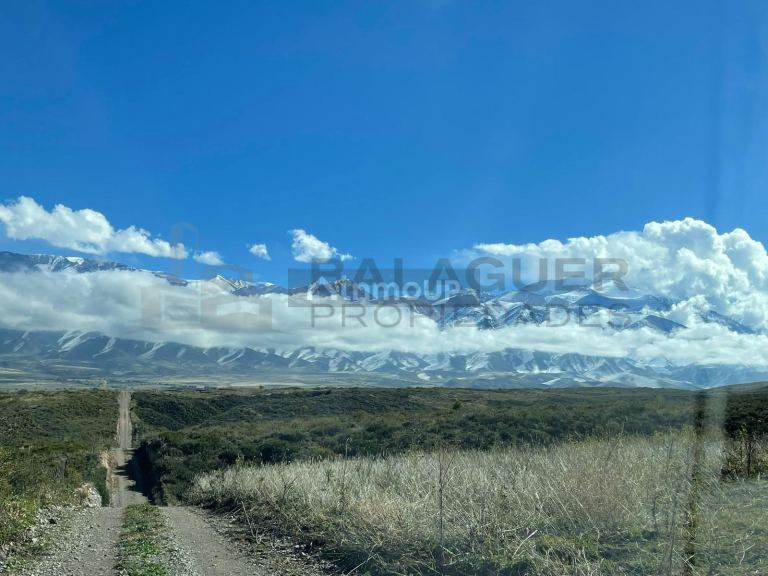 Terreno en Venta en Tupungato, Mendoza