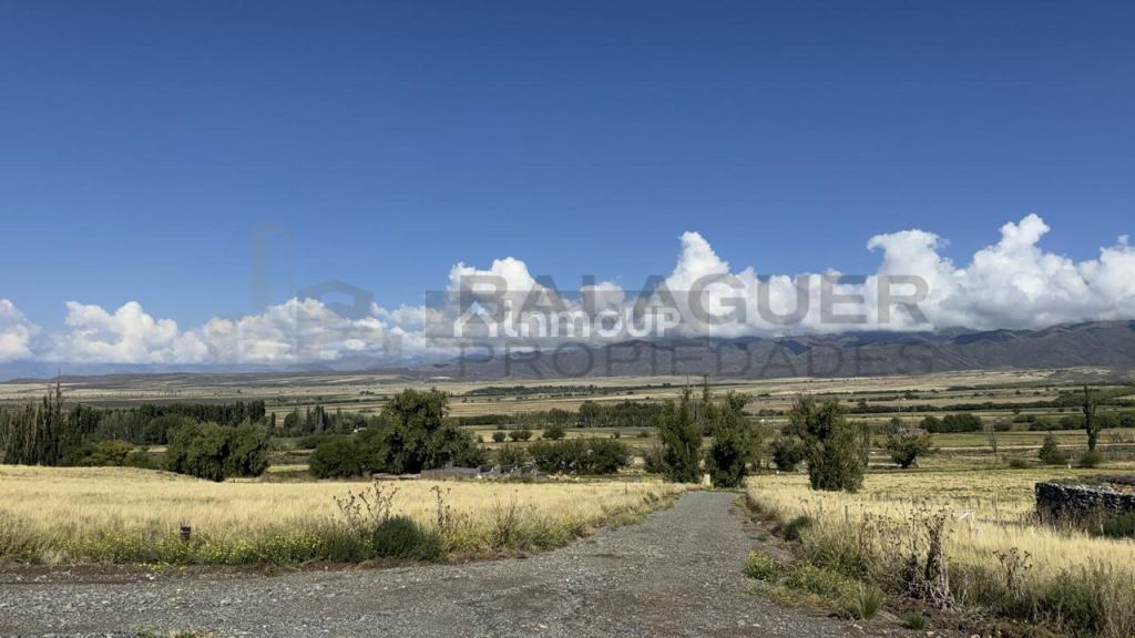 Terreno en Venta en Tupungato, Mendoza