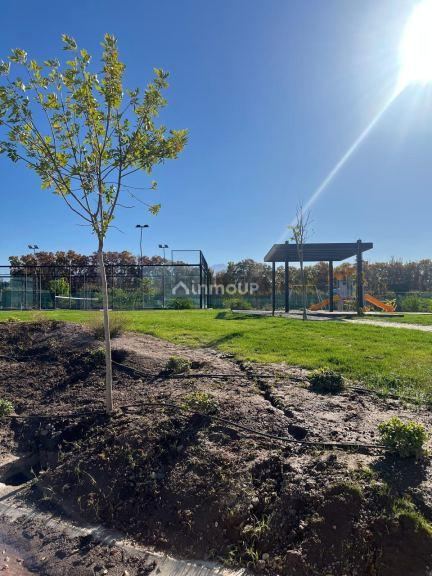 Terreno en Venta en Lujan de Cuyo, Mendoza
