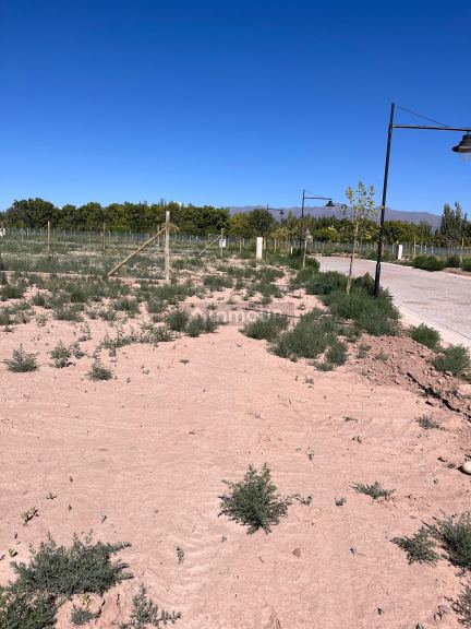 Terreno en Venta en Lujan de Cuyo, Mendoza