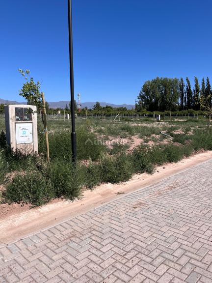Terreno en Venta en Lujan de Cuyo, Mendoza