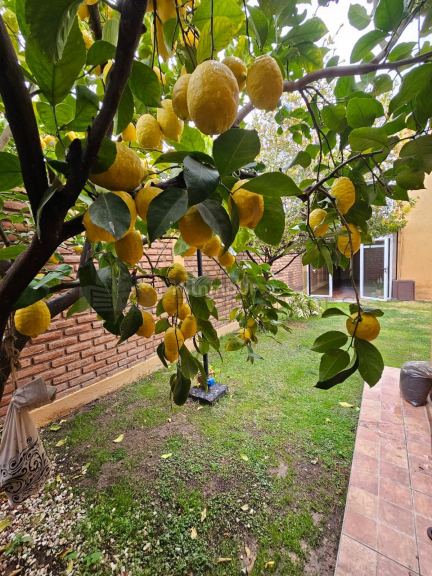 Casa en Venta en Maipu, Mendoza