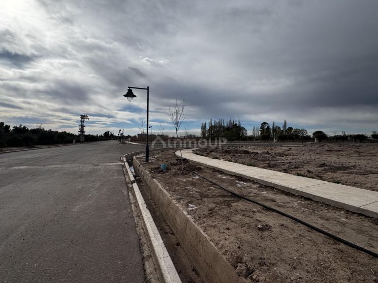 Terreno en Venta en Lujan de Cuyo, Mendoza