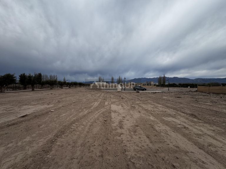 Terreno en Venta en Lujan de Cuyo, Mendoza