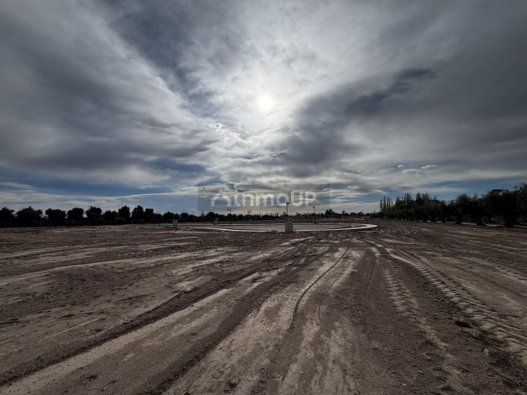 Terreno en Venta en Lujan de Cuyo, Mendoza