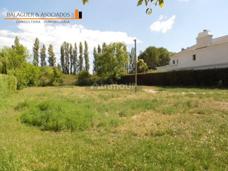 Lote en Venta en Lujan de Cuyo, Mendoza