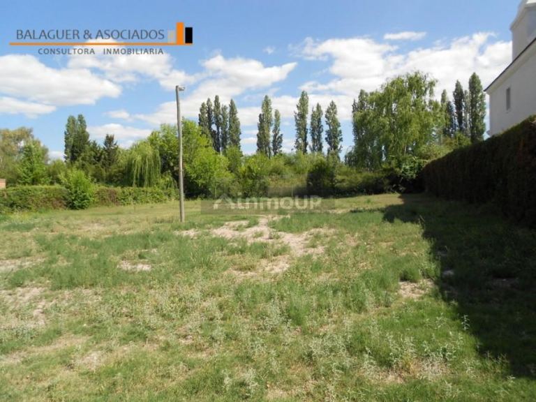 Lote en Venta en Lujan de Cuyo, Mendoza