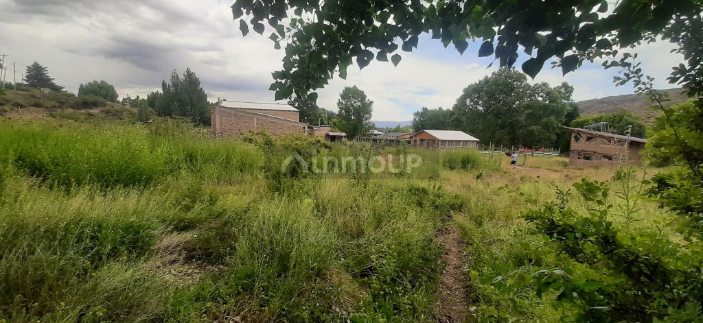 Lote en Venta en Lujan de Cuyo, Mendoza