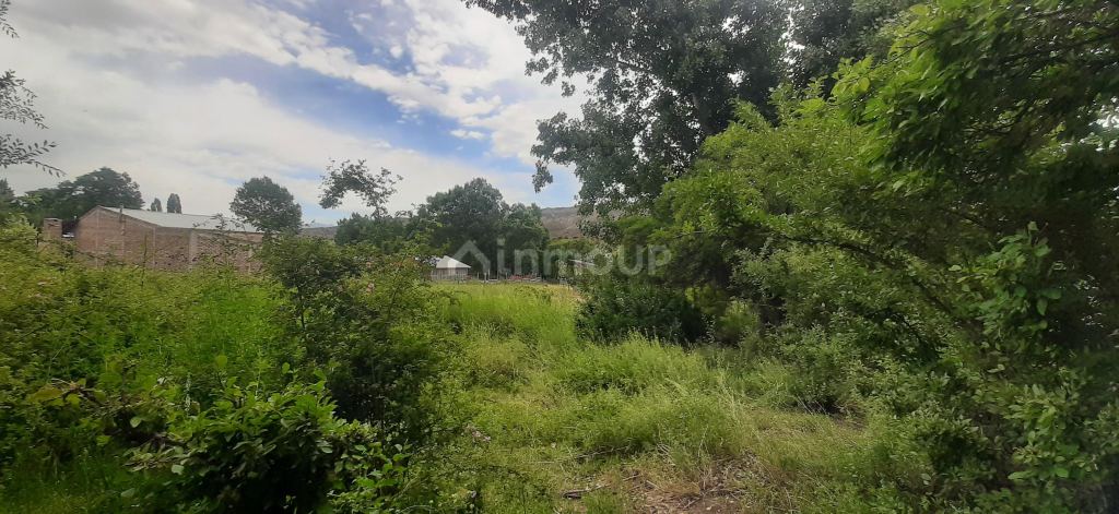 Lote en Venta en Lujan de Cuyo, Mendoza