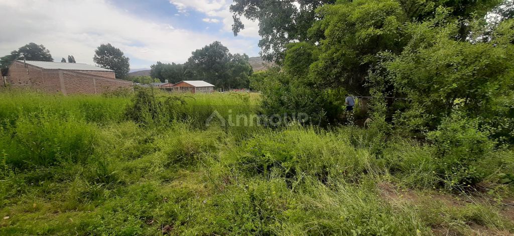 Lote en Venta en Lujan de Cuyo, Mendoza