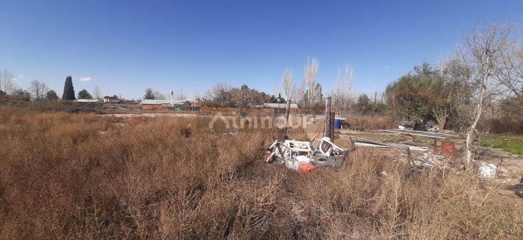 Lote en Venta en Lujan de Cuyo, Mendoza