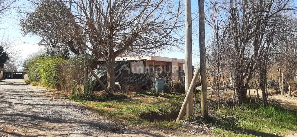 Lote en Venta en Lujan de Cuyo, Mendoza