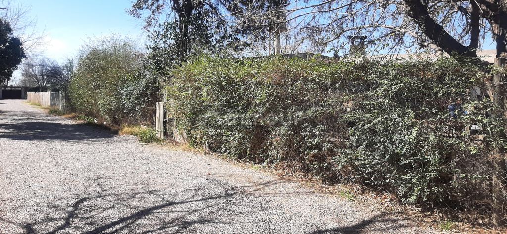 Lote en Venta en Lujan de Cuyo, Mendoza