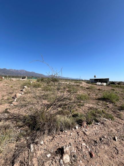 Lote en Venta en Lujan de Cuyo, Mendoza