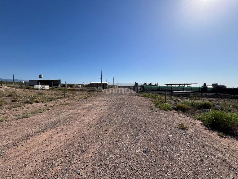 Lote en Venta en Lujan de Cuyo, Mendoza