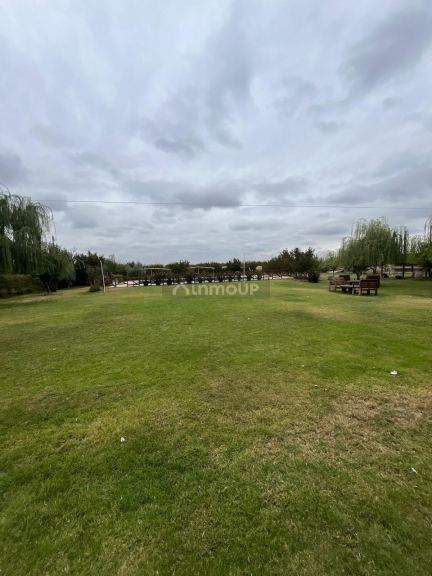 Finca en Alquiler en Maipu, Mendoza