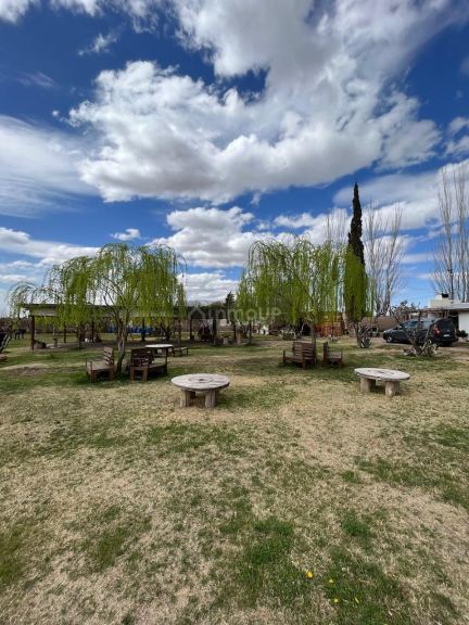 Finca en Alquiler en Maipu, Mendoza