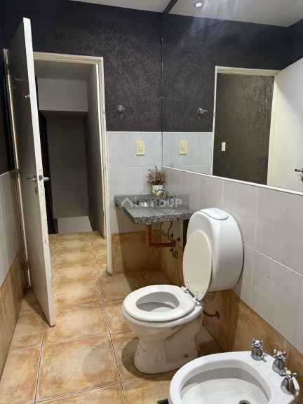 Departamento en Alquiler en San Carlos, Mendoza