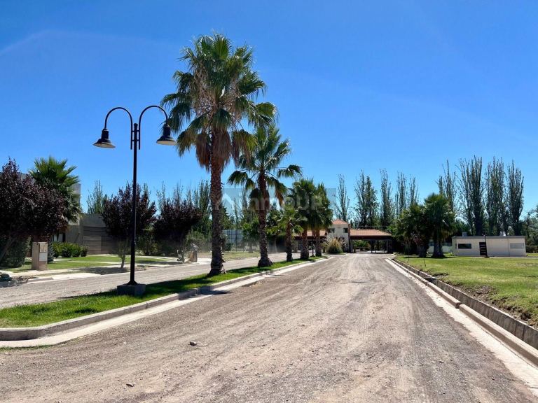 Lote en Venta en Maipu, Mendoza