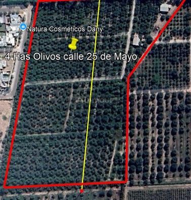 Finca en Venta en Maipu, Mendoza