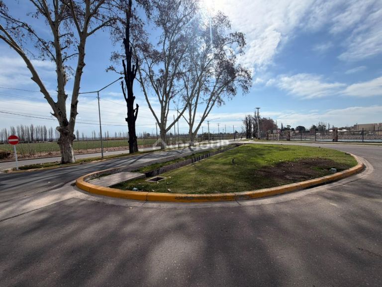 Lote en Venta en Lujan de Cuyo, Mendoza