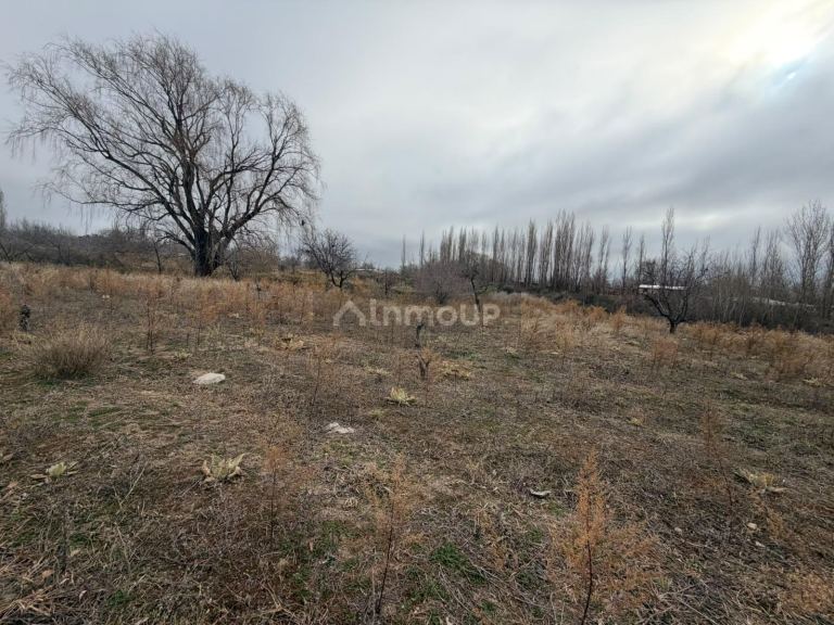 Campo en Venta en Tupungato, Mendoza