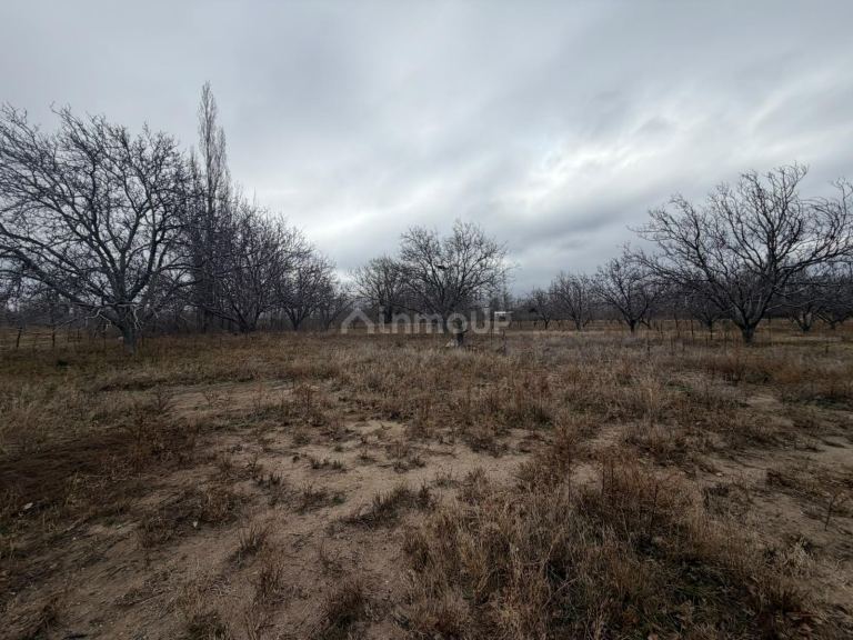 Campo en Venta en Tupungato, Mendoza