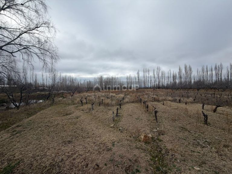 Campo en Venta en Tupungato, Mendoza