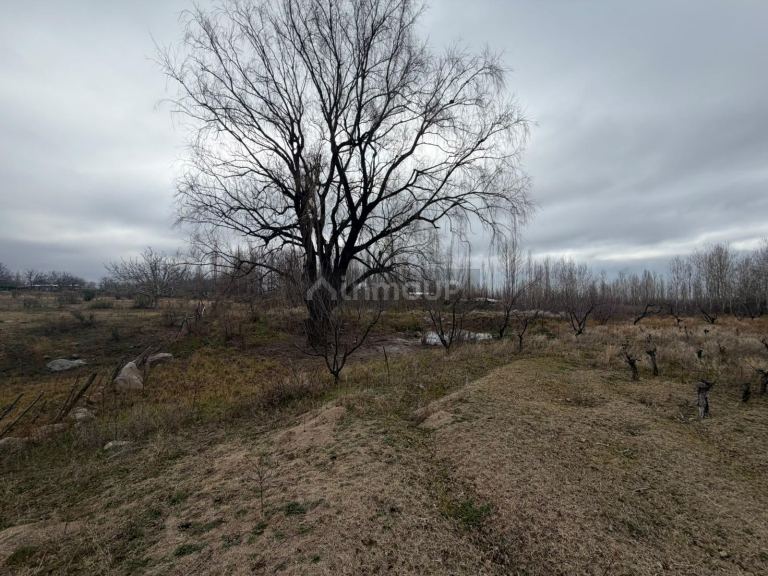 Campo en Venta en Tupungato, Mendoza