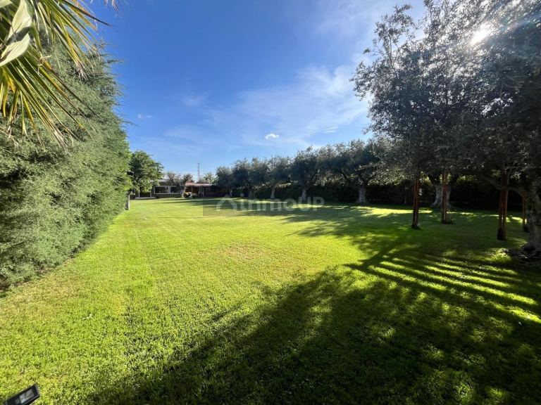 Local Comercial en Venta en Guaymallen, Mendoza - USD 200.000 | Inmoup - 8