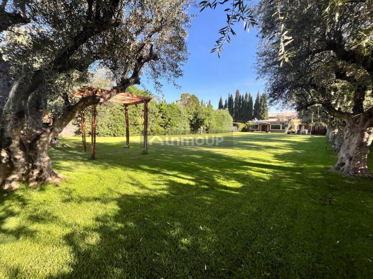 Local Comercial en Venta en Guaymallen, Mendoza - USD 200.000 | Inmoup - 3