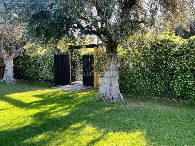 Local Comercial en Venta en Guaymallen, Mendoza - USD 200.000 | Inmoup - 4