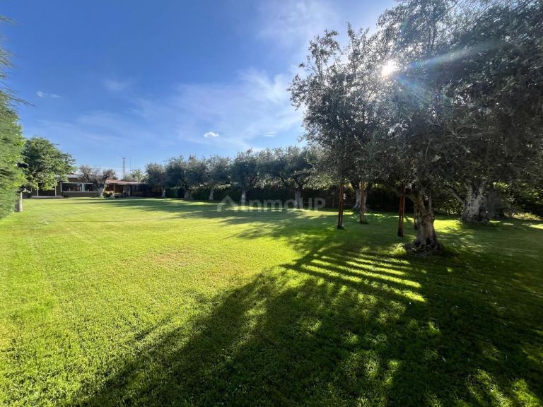 Local Comercial en Venta en Guaymallen, Mendoza - USD 200.000 | Inmoup - 1