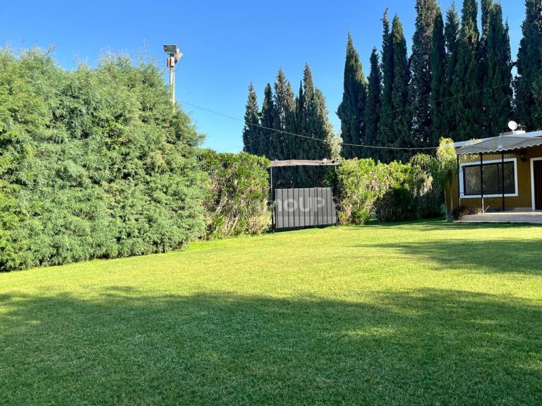 Local Comercial en Venta en Guaymallen, Mendoza - USD 200.000 | Inmoup - 9