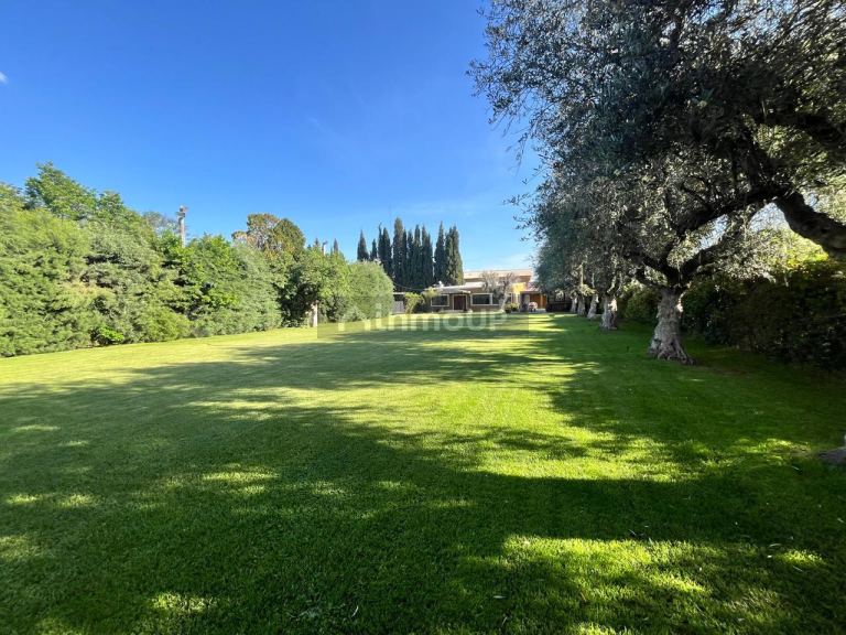 Local Comercial en Venta en Guaymallen, Mendoza - USD 200.000 | Inmoup - 12