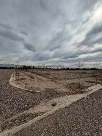 Terreno en Venta en Lujan de Cuyo, Mendoza