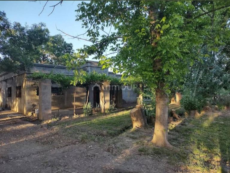 Finca en Venta en Lujan de Cuyo, Mendoza