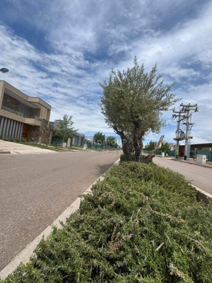Terreno en Venta en Maipu, Mendoza