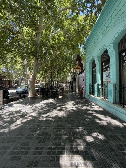 Local Comercial en Alquiler en Capital, Mendoza